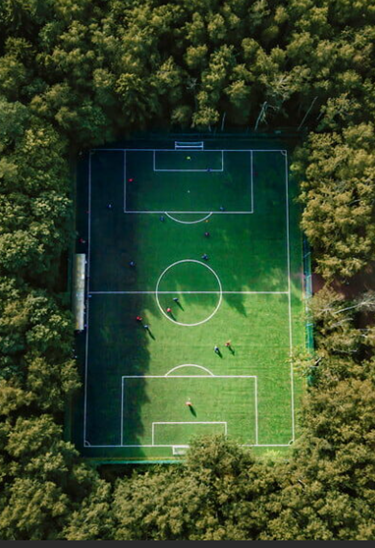 Image12 green-leafed trees beside body of water during daytime